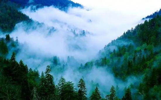 韶关市翁源县龙仙镇贵联村委会林业碳普惠项