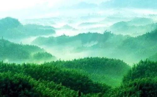 韶关市翁源县江尾镇南塘村委会林业碳普惠项