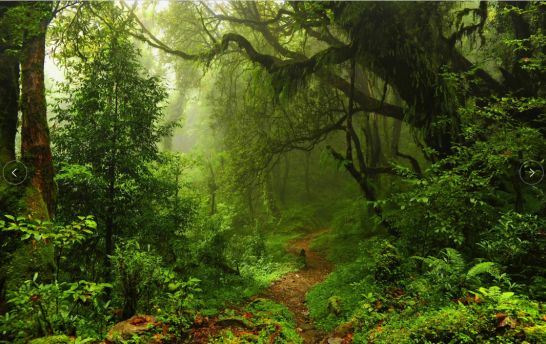 生态环境部等17部门联合印发《国家适应气候变化战略2035》