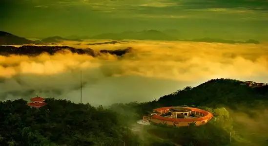 信宜市洽谈林业碳汇项目