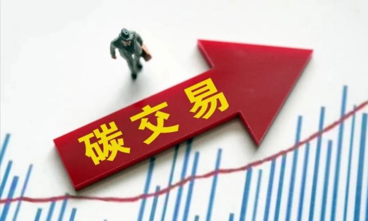 183元/吨！全国首单，红树林保护碳汇将拍卖