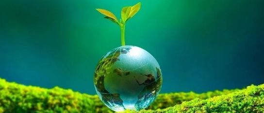 外交部：中法碳中和中心正式启动