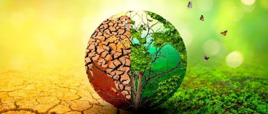 积极稳妥推进碳达峰碳中和，国家发展改革委持续推动生产方式和生活方式绿色低碳转型